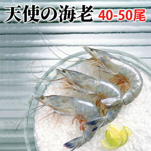 Vg̊CV 1kg(40`50)  Ε   Mtg 蕨  Gr  hg  H