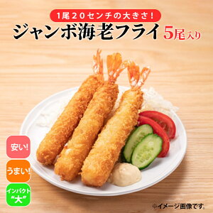 Ⓚ W{GrtC 5(120cm) CV  g 傫   q  tC ٓ y