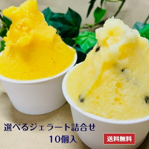 WF[g IׂWF[g  Â [ ACX 10Zbg 蕨  j a A Mtgi80ml×10jꕔn