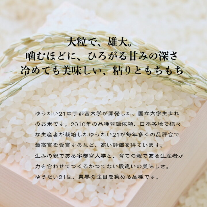 楽天市場】米 ゆうだい21 5kg～20kg 令和7年産 新潟産 岩船米 奇跡の 