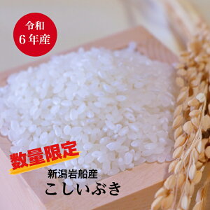  10kg 5kg×2  Yn Ԃ ߘa6N VDY Vi    ۊǂɕ֗