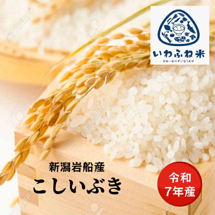楽天市場】米 5kg～20kg 令和7年 新潟岩船産 こしいぶき 新潟限定品種 