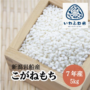 _V^  V 2kgE5kgE10kg 7NY ˂  V DY Yn ō 嗱   (ꕔn揜)