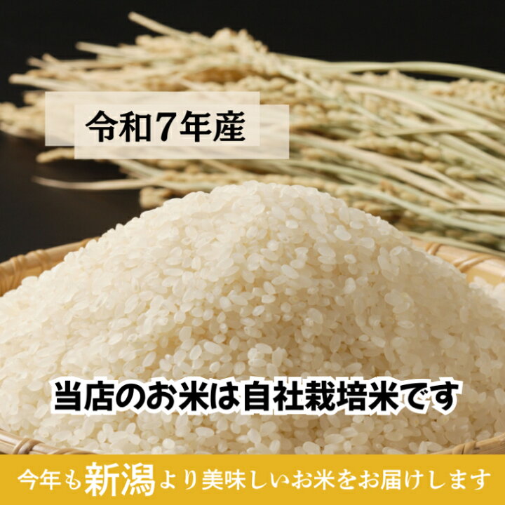 楽天市場】＼完売しました／ 米 ゆうだい21 5kg～20kg 令和7年産 新潟 