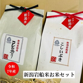 お米 ギフトセット 御贈答 プチギフト 産地直送 新米 送料無料 令和7年産 新潟岩船産 コシヒカリ・こしいぶき 各2kg(計4kg) 食べ比べ 精米 白米（一部地域を除き送料無料）