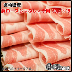 [4539]yz{茧Y؃[XԂԗp300g×15  XCX ؃[X Y BY  ؓ Ԃ    ȒP y ͂ Ε  