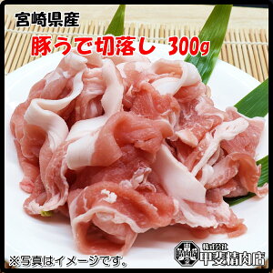 [4505]{茧Y؂Ő؂藎Ƃ300g  XCX ؃Ef ؗ Y BY  ؓ  u J[ V`[  ȒP y ͂ Ε   y