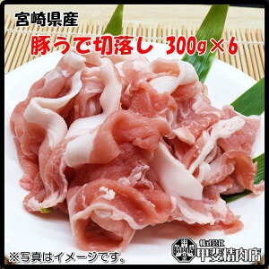 [4541]yz{茧Y؂Ő؂藎Ƃ300g×6  XCX ؃Ef ؗ Y BY  ؓ  u J[ V`[  ȒP y ͂ Ε  
