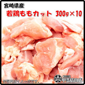 [4550]yz{茧Y{Jbg300g×10 { Jbg  { { Y BY {茧Y BBQ o[xL[ ē   ȒP y ͂ Ε  