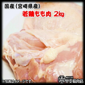 [4509]{茧Y{2kg {  { { Y BY {茧Y BBQ o[xL[ ē   ȒP y ͂ Ε   yXIXXz