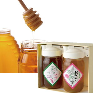 yzyΕznj[{ ÎY݂͂Zbg Yn Mtg