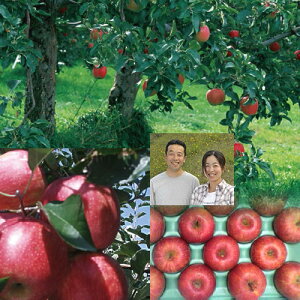 yzyΕz͂ʎ sY nTӂ 5kg 16`22 Yn