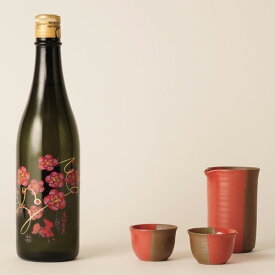 福島の日本酒と工芸品セット 有賀醸造 生粋左馬 純米大吟醸 720ml 二本松萬古焼酒器セット