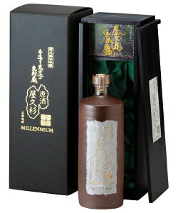 yiBEꏜjz{V v ~jA 720ml 2010{ N ̓ ̓  Ε v[g Mtg