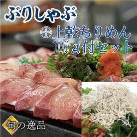 ぶりしゃぶ セット 3～4人前に 【上乾ちりめん100g】が付いたセット ブリしゃぶ 寒ブリ ぶり 鰤しゃぶ おろし済 海鮮しゃぶしゃぶ　御祝 ギフト 贈り物 鍋パーティ のし対応 お取り寄せ プレゼント 海鮮ギフト ご挨拶 御礼 海鮮贈り物 母の日 父の日 入学 挨拶