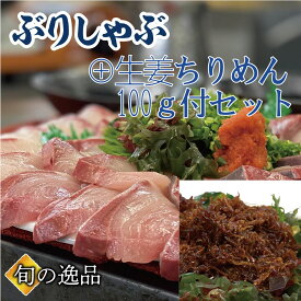 ぶりしゃぶ セット 3～4人前に 【生姜ちりめん100g】が付いたセット ブリしゃぶ 寒ブリ ぶり 鰤しゃぶ おろし済 海鮮しゃぶしゃぶ　御祝 ギフト 贈り物 鍋パーティ のし対応 お取り寄せ プレゼント 海鮮ギフト ご挨拶 御礼 海鮮贈り物 母の日 父の日 入学 挨拶