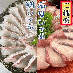 海鮮しゃぶしゃぶ2種盛 ブリ約230g 鯛約200gセット ギフト 贈り物 鍋パーティ のし対応 お取り寄せ プレゼント 海鮮ギフト ご挨拶 御礼 自宅グルメ お家グルメ 高級ギフト 海鮮贈り物 就職 ぶ