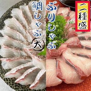 海鮮しゃぶしゃぶ2種盛 鯛約400g ブリ約230g セット ギフト 贈り物 鍋パーティ のし対応 お取り寄せ プレゼント 海鮮ギフト ご挨拶 御礼 自宅グルメ お家グルメ 高級ギフト 海鮮贈り物 ぶり 鯛