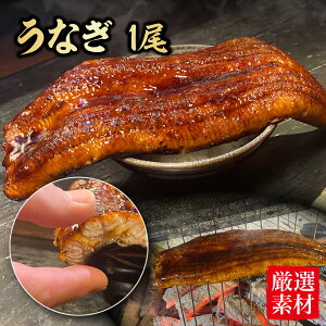 Ȃ 1 3-4lO V Ђ܂Ԃ ȂЂ Ȃ̊ V yp̉N̓ @N̓ Mtg Mtg 蕨 p[eB ̂Ή ij  v[g ̓ ̓ 