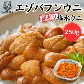【7/19 20:00-7/26 01:59 店内全品ポイント5倍】【鮮度抜群！高品質と低価格は老舗加工業者ならでは】 ウニ 「訳あり 無添加 塩水生うに」塩水 250g 樺太・沿海州・北方四島産エゾバフンウニ 雲丹 天然 ミョウバン不使用 お買い得 うにの匠マルヒラ渡邊水産