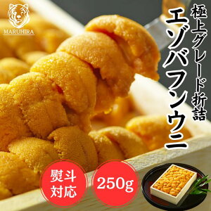 yNxQIiƒቿi͘V܉HƎ҂Ȃł́zEj uI ɐ܋l߁v܋l 250g ECBEklYG]otEj _O VR  ܂ ɏO[h  