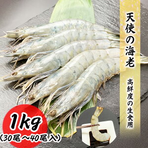 Vg̊CV 30/40 Hp 1kg 30`40 Y  Gr Vg CV Ⓚ hg H Ԃ Ε Mtg ϔ ⓀCV  O Hi Ⓚ GrtC CVtC 