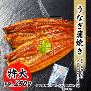 Ȃ   250g 250g/1 Ȃ ȂĂ Ⓚ Ȃ Mtg EiM V ^󏈗ς ȏd  vp Ȃ Ȃ Ε Mtg  i yp̉N 