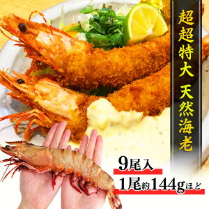 VR TCY V[^CK[ 6 216g/ 30cm 1.3kg LCV Gr  Ε Mtg ⓀCV  O Hi Ⓚ vp CV o[xL[ VՂ GrtC CV