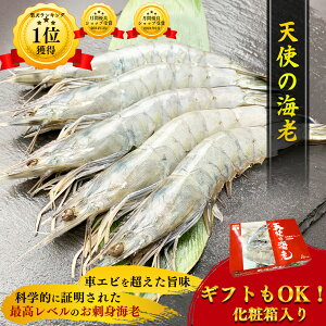 Vg̊CV 30/40 Hp 1kg 30`40 Y  Gr Vg CV Ⓚ hg H Ԃ Ε Mtg ϔ ⓀCV  O Hi Ⓚ GrtC CVtC 