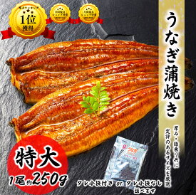 送料無料 うなぎ 蒲焼 特大 250g 約250g/1尾 うなぎ蒲焼 うなぎ蒲焼き 冷凍 うなぎ ギフト ウナギ 鰻 真空処理済み うな重 お取り寄せ プロ愛用 うなぎ うなぎ蒲焼 お歳暮 ギフト 贈答 贈答品 土用の丑 お取り寄せ グルメ ひつまぶし 惣菜 食品 料理店でも使われる一品