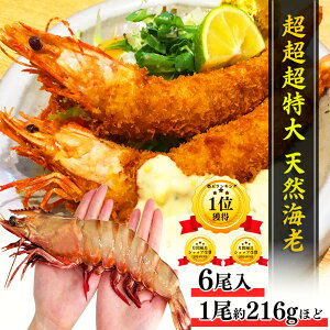  VR TCY V[^CK[ 6 216g/ 30cm 1.3kg LCV Gr  Ε Mtg ⓀCV  O Hi Ⓚ vp CV o[xL[ VՂ Grt