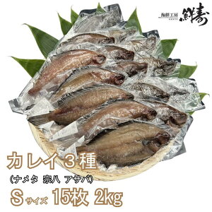 JC3 AToJC i^JC @JC STCY 1 200g 15Zbg 2kg S3×5 Ⓚ ܂Ƃߔ JC Ђ   ̊ ̊ʔ @ i^ AT