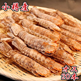 楽天市場 シャコエビの通販