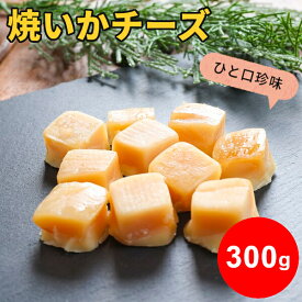 ＼エントリーでポイント5倍／焼いかチーズ 300g お徳用 送料無料 大容量 業務用 たっぷり 烏賊 イカ ナチュラルチーズ 珍味 おやつ 酒の肴 つまみ 一口サイズ 個包装 ひと口 北海道 おつまみ おうちグルメ お取り寄せメール便 SL