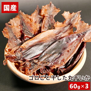 ۊ St 60g 1/3/10܃Zbg 4`5 ۊ {ɍ  ̍ p  ܂  Y Ö F ۑ Y f   XCJ  