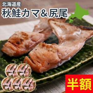 _z 50%OFF^kCY H J} & K 300g × 5 Zbg h ̂聝 m T[ ؐg A 󏭕i   Mtg CY т̂ HA ٓ ăoe MǑ΍ O