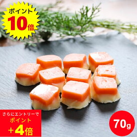 ＼ポイント10倍＆エントリーで+4倍／鮭チーズ 70g 珍味 個別包装 1000円ポッキリ お試し ポイント消化 送料無料 サケ ナチュラルチーズ 珍味 おやつ 酒の肴 おつまみ 一口サイズ ひと口 ポイント消化 北海道 家飲み お取り寄せグルメ メール便