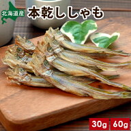 北海道産 本乾ししゃも 30g/60g 無添加 ししゃも 干物 柳葉魚 広尾産 送料無料 干ししゃも 岡嶋水産 丸ご…