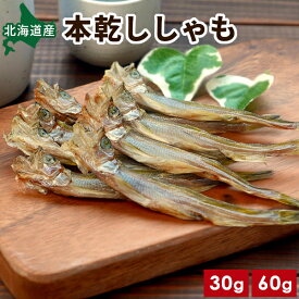 北海道産 本乾ししゃも 30g/60g 無添加 柳葉魚 広尾産 送料無料 干ししゃも 岡嶋水産 丸ごと 本ししゃも 高級 珍味 つまみ 酒の肴 家飲み お取り寄せ 国産 おうちグルメ お取り寄せグルメ メール便