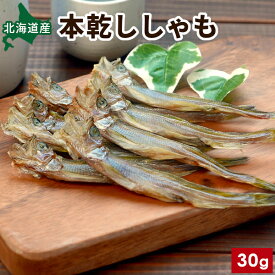北海道産 本乾ししゃも 30g/60g 無添加 ししゃも 干物 柳葉魚 広尾産 送料無料 干ししゃも 岡嶋水産 丸ごと 本ししゃも 高級 珍味 つまみ 酒の肴 家飲み お取り寄せ 国産 おうちグルメ お取り寄せグルメ メール便