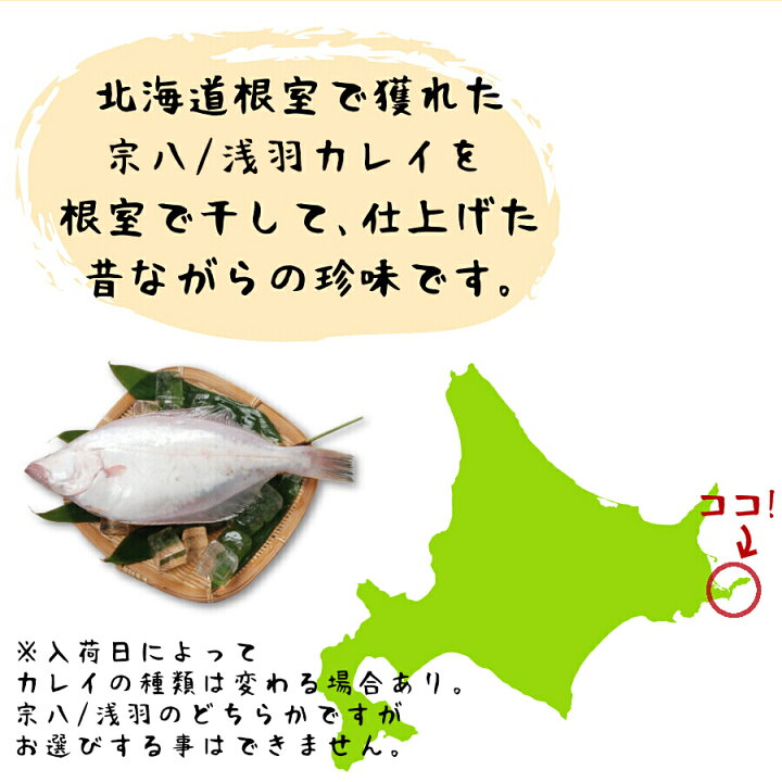 楽天市場 エントリーでポイント最大倍 北海道 根室産 干し ガレイ 40g お試し 1袋 鰈 カレイ 魚 少量 珍味 干かれい むしりかれい そのまま食べれる 乾燥 酒の肴 おつまみ 送料無料 国産 北海道産 ポイント消化 お取り寄せグルメ Yu メール便 海鮮小樽
