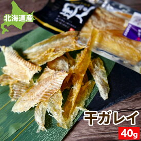 【在庫限り販売終了】北海道 おつまみ 珍味 干し ガレイ 40g/40g×2 根室産 鰈 カレイ 魚 少量 干かれい むしりかれい そのまま食べれる 国産 北海道産 乾燥 送料無料 日本酒のアテ 酒の肴 おつまみ ポイント消化 お取り寄せグルメ メール便