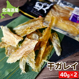 【在庫限り販売終了】北海道 おつまみ 珍味 干し ガレイ 40g/40g×2 根室産 鰈 カレイ 魚 少量 干かれい むしりかれい そのまま食べれる 国産 北海道産 乾燥 送料無料 日本酒のアテ 酒の肴 おつまみ ポイント消化 お取り寄せグルメ メール便