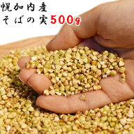 北海道 幌加内産 そばの実 国産 500g そば茶 送料無料 新そば 蕎麦の実 栄養 1000円ポッキリ 新物 ポイン…