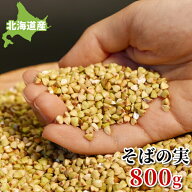 そばの実 国産 800g 北海道 幌加内産 送料無料 レジスタントプロテイン 蕎麦の実 栄養 スーパーフード む…