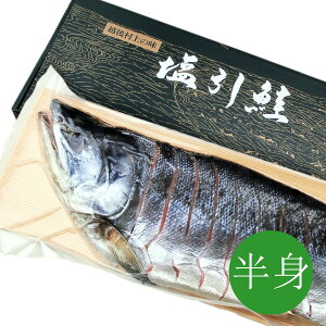 V  Y  () gp(5kgO̍gp)y Ε Ε ̂ l Yi Yi ґ O Mtg v[g 蕨   VP TP   ؂