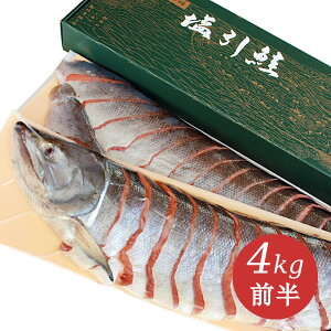 V  Y   ؐgp l4kgO̍gpy ̂ l Yi Yi ґ O Mtg v[g 蕨   VP TP   ؂g V