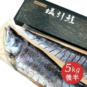 V  Y   ؐgp l5kg㔼̍gpy ̂ l Yi Yi ґ O Mtg v[g 蕨   VP TP   ؂g V