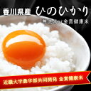 ［28年産］ 香川県産ひのひかり［ヒノヒカリ］金賞健康米10kg［10kg×1］or 無洗米10kg［5kg×2］30kgまで1配送でお届け北海道・沖縄・離島は... ランキングお取り寄せ