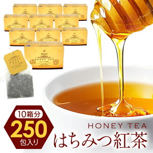 ZCt@~[ ݂͂g10Zbgm25×10ny3`4cƓȓɏoׁzm퉷/Sxщnyz